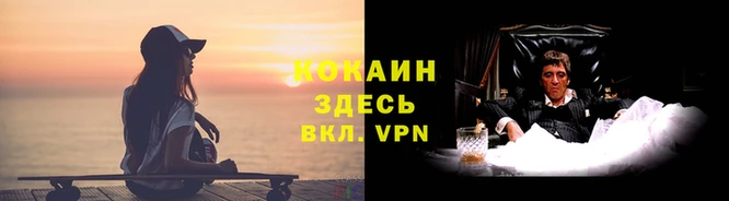дмт Балахна