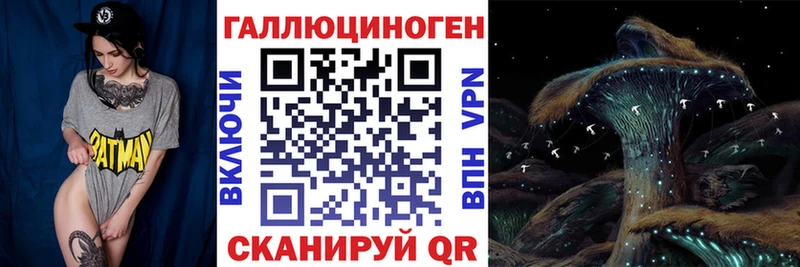 Галлюциногенные грибы MAGIC MUSHROOMS  Купить где  Михайловск 